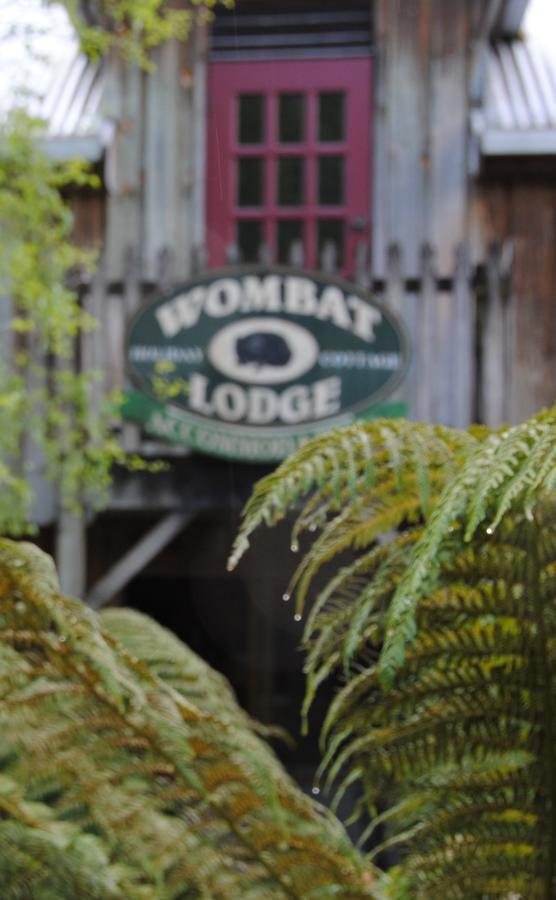 The Wombat Cottage Tullah Exterior photo